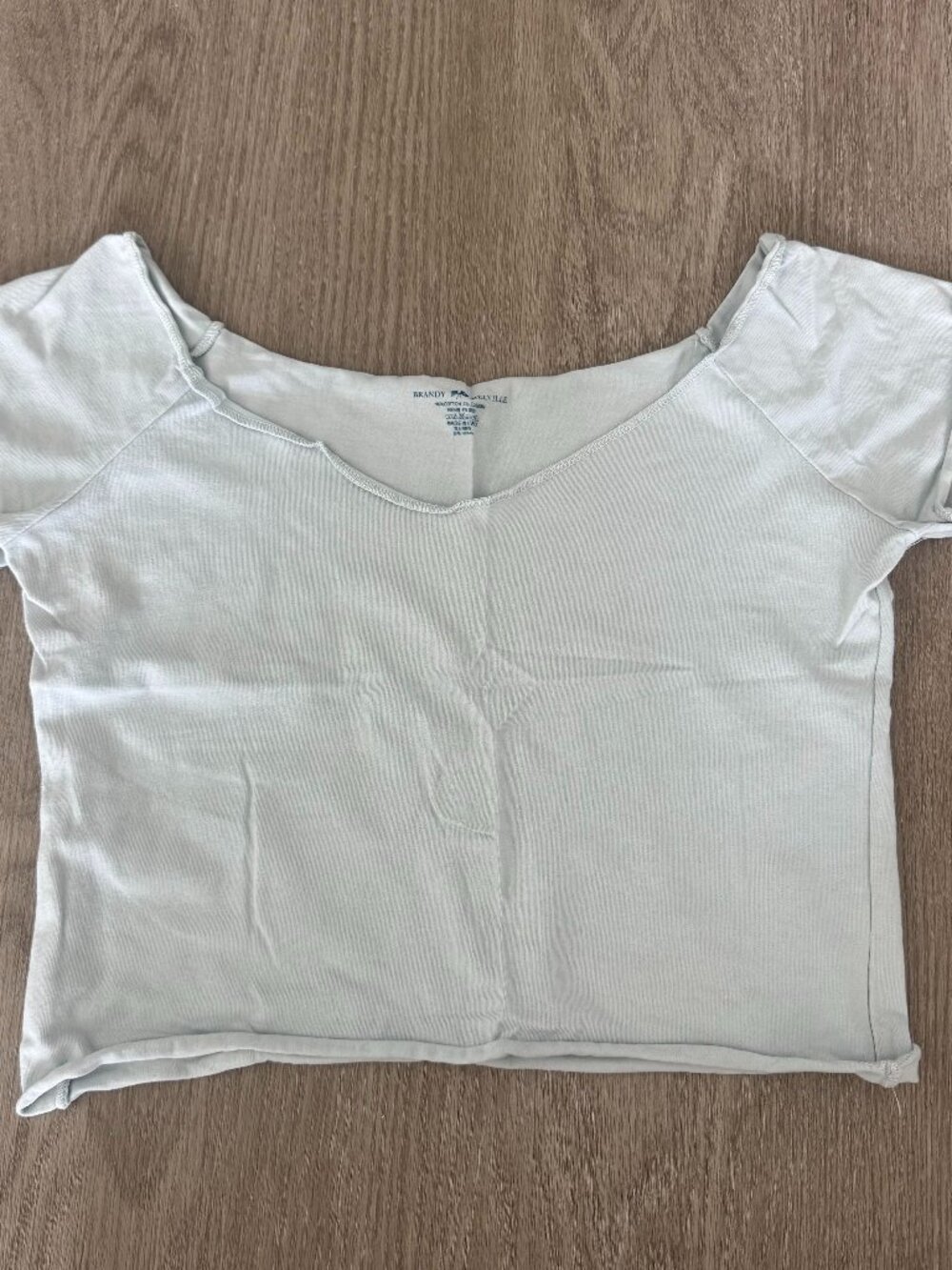 Brandy Melville Light Blue Crop Top